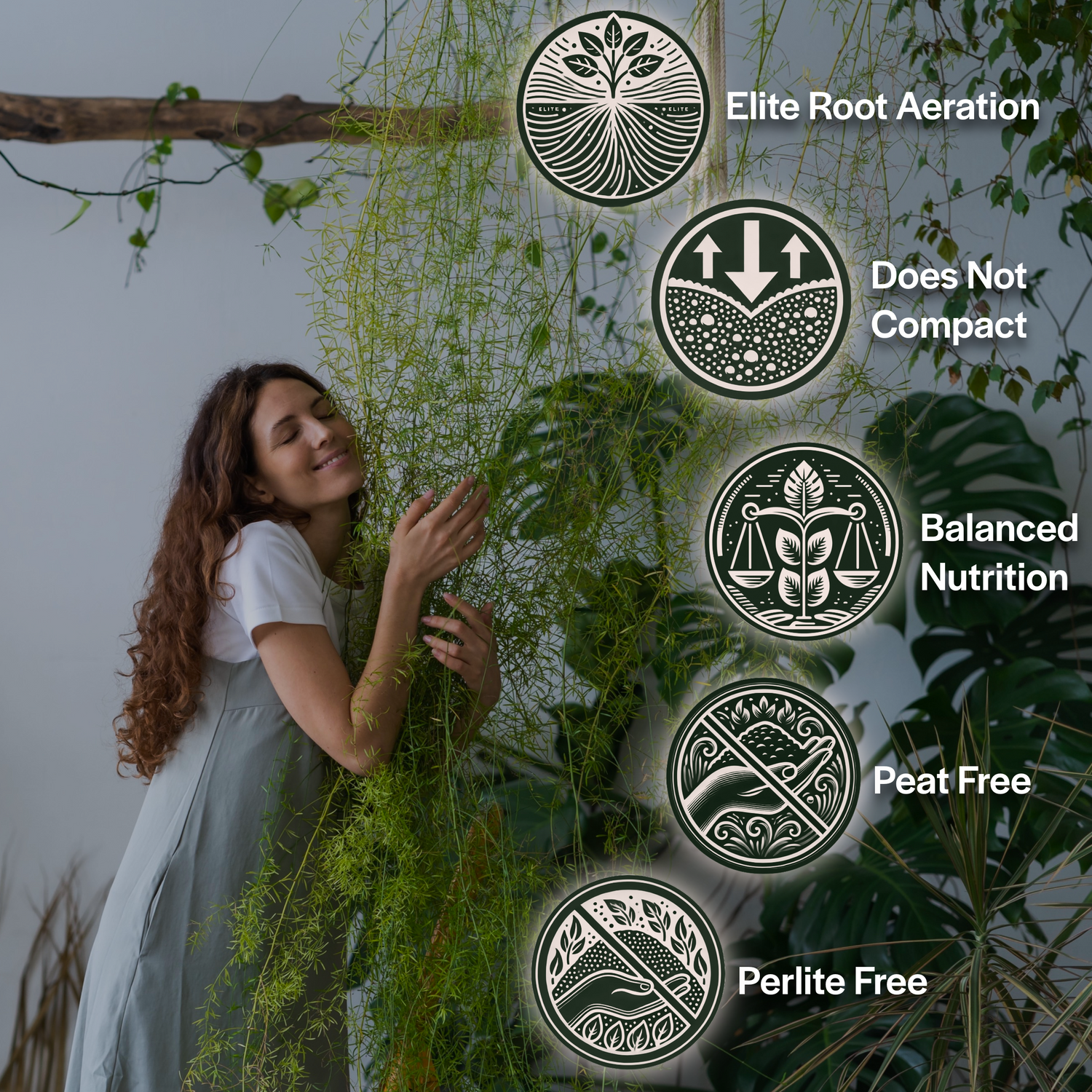 Craft Houseplant Potting Mix