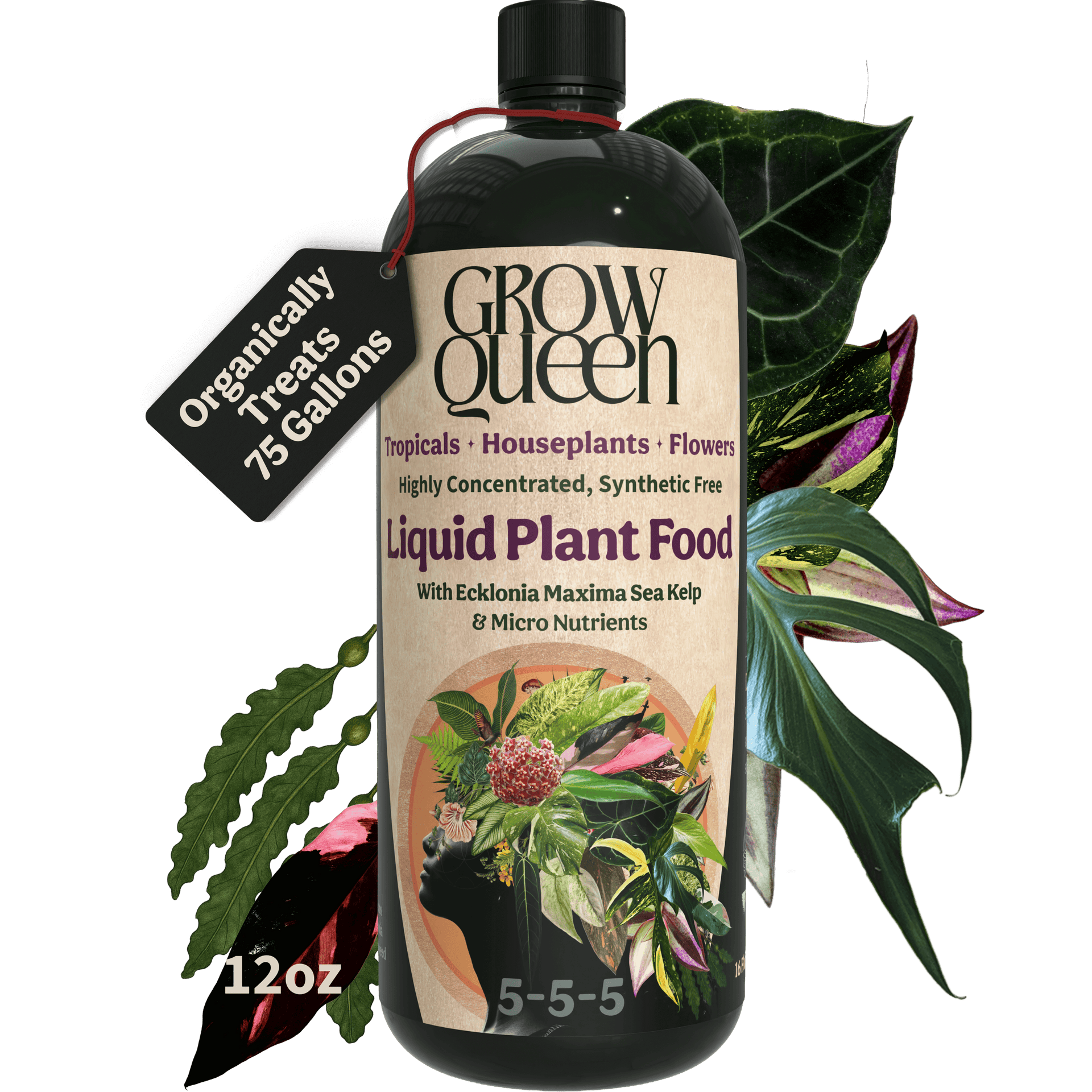 best liquid plant food for indoor plants Organic 5-5-5 Liquid Plant Food with Sea Kelp – Grow Queen