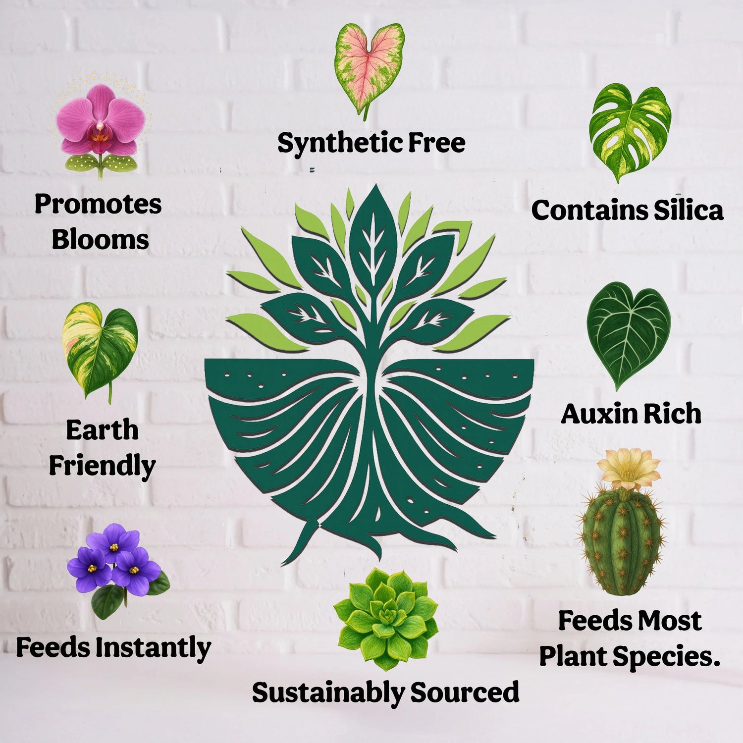Feeds Most Plant Species