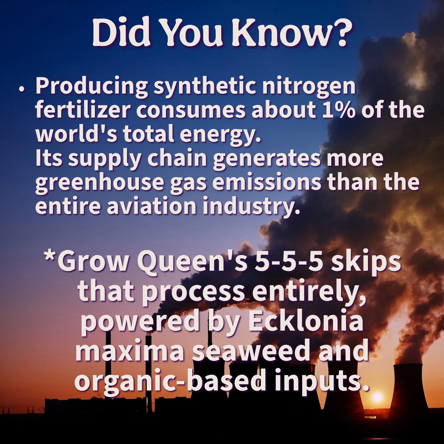 Did You Know