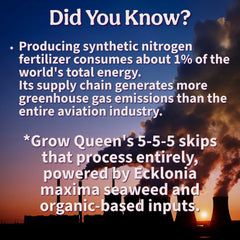 Did You Know