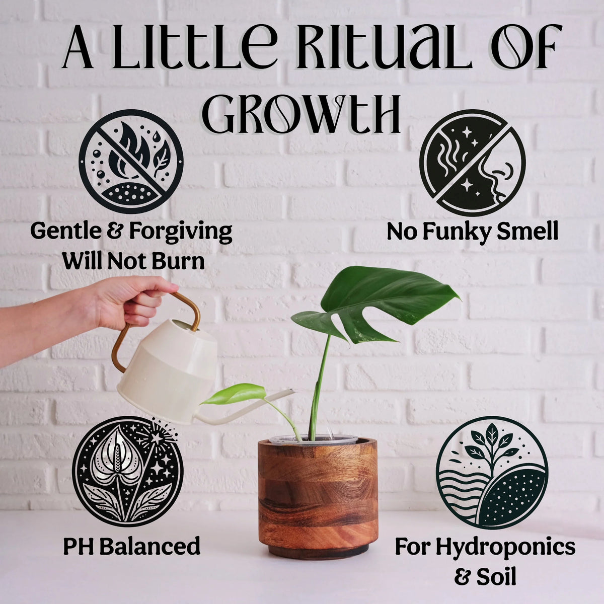 A Little Ritual Of Growth