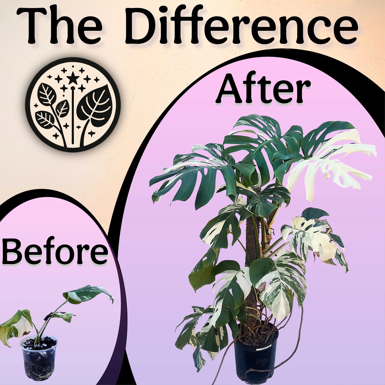 The Difference - before and after