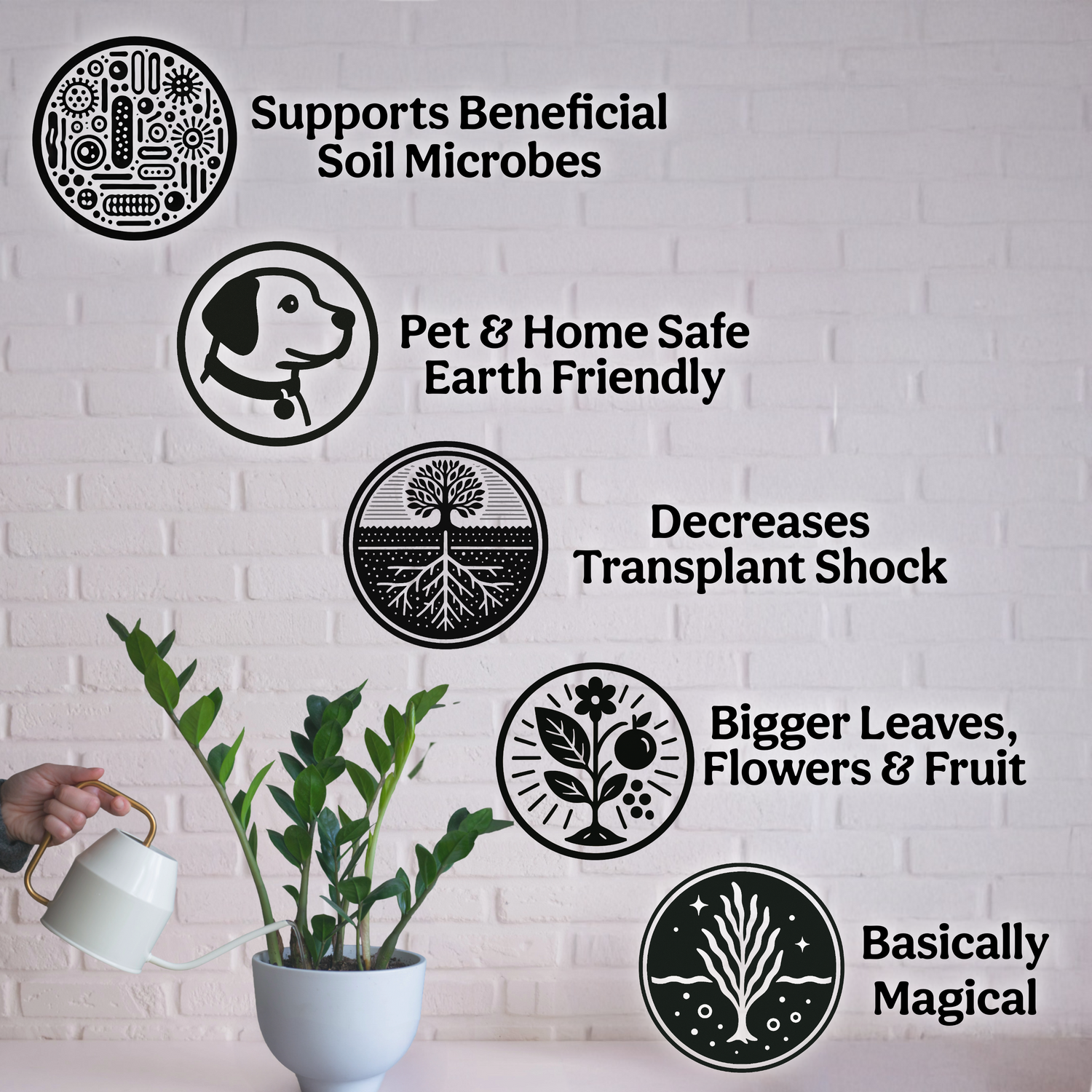 100% Kelp Extract Plant Superfood