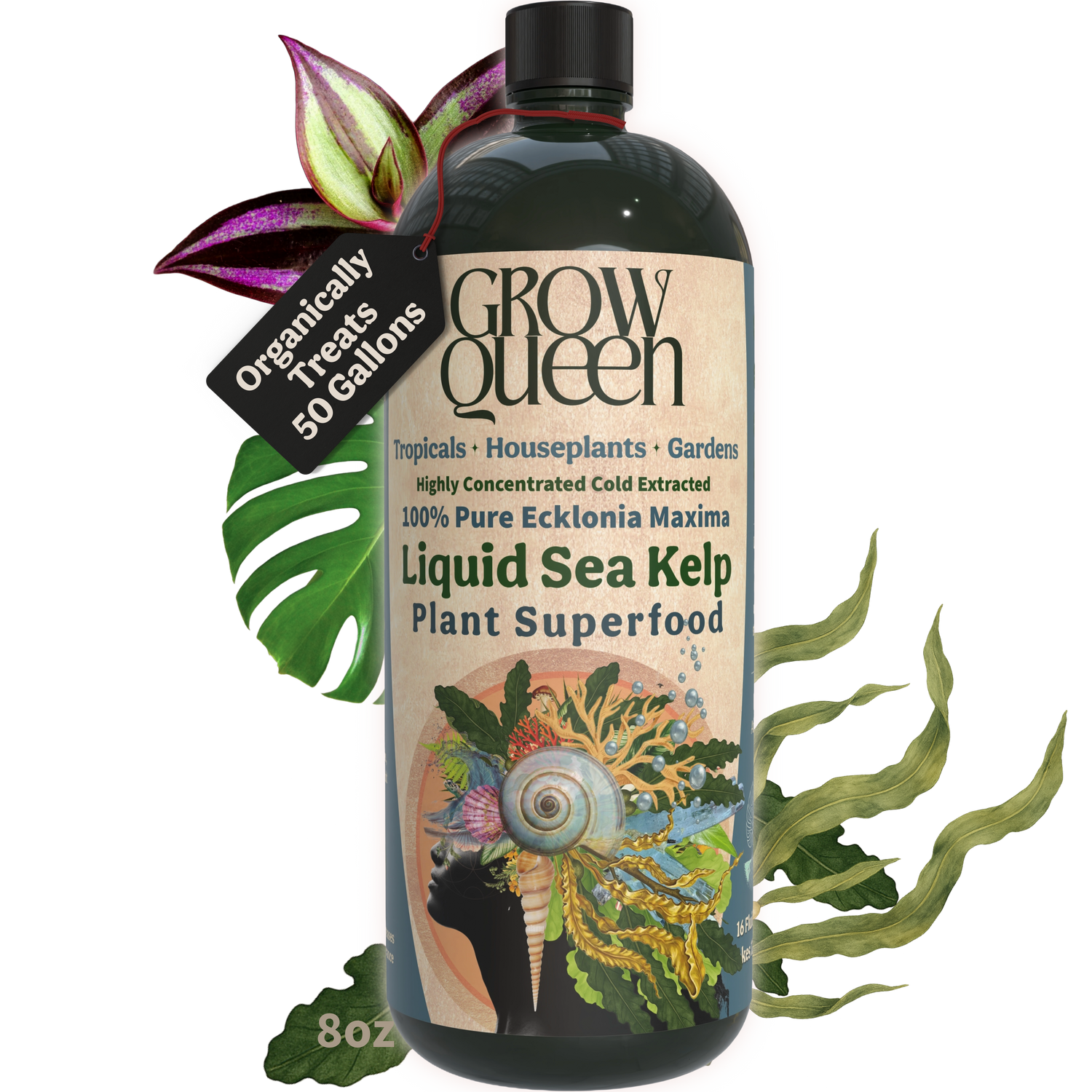 100% Kelp Extract Plant Superfood