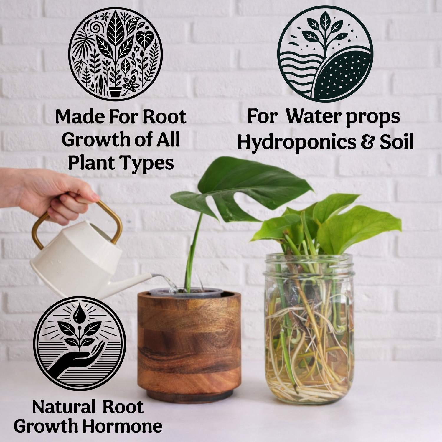 Ecklonia Maxima Kelp Extract Plant Superfood