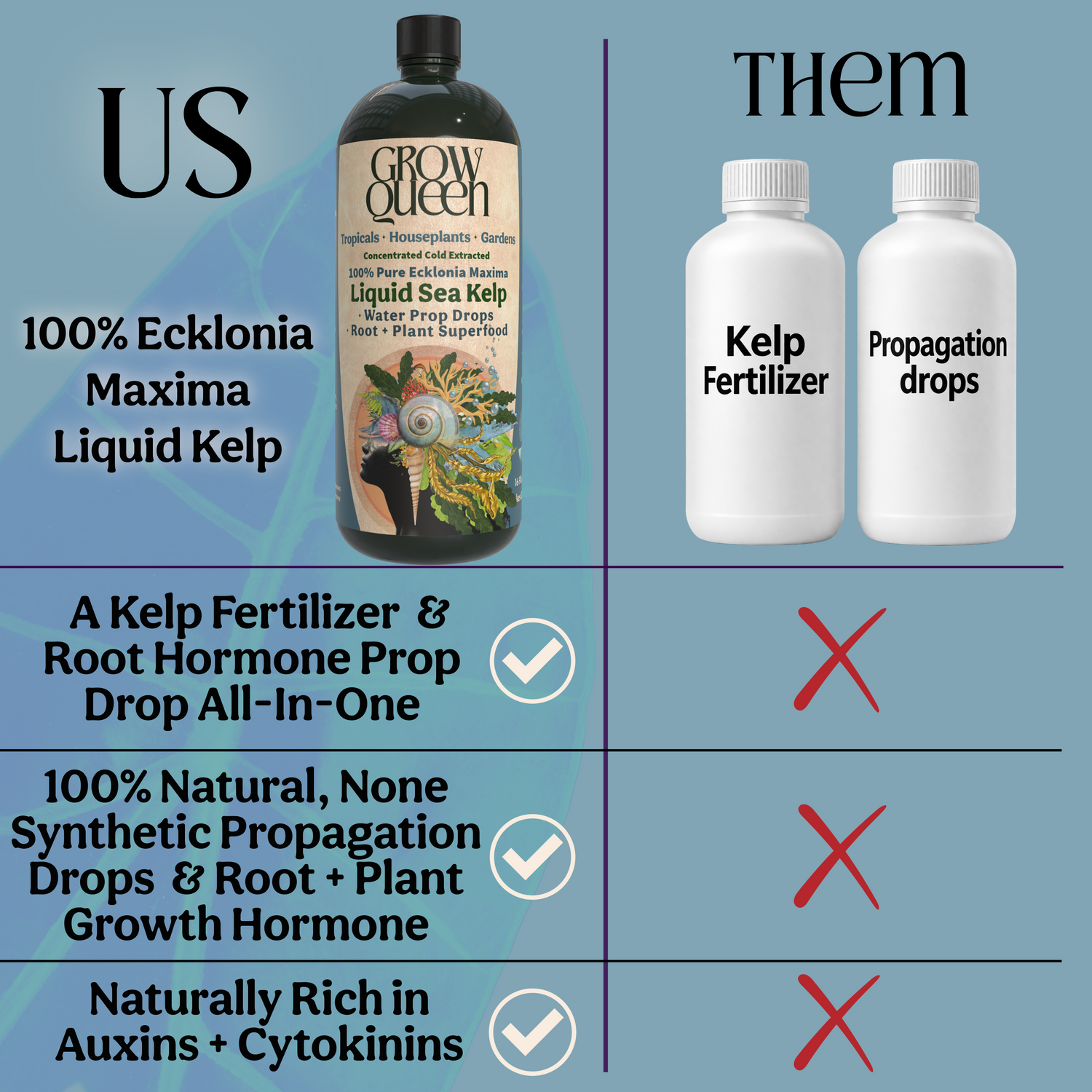 Ecklonia Maxima Kelp Extract Plant Superfood