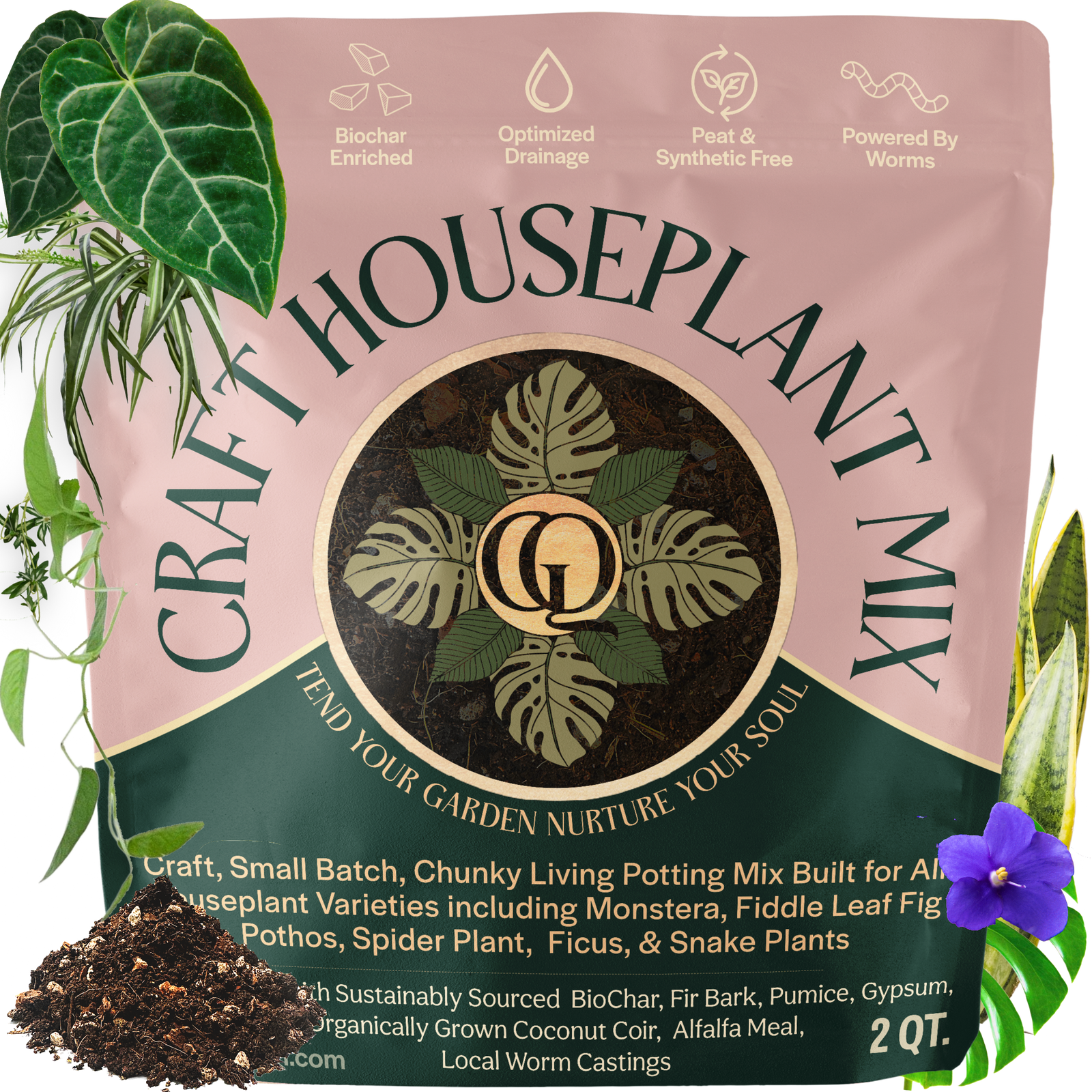 Craft Houseplant Potting Mix