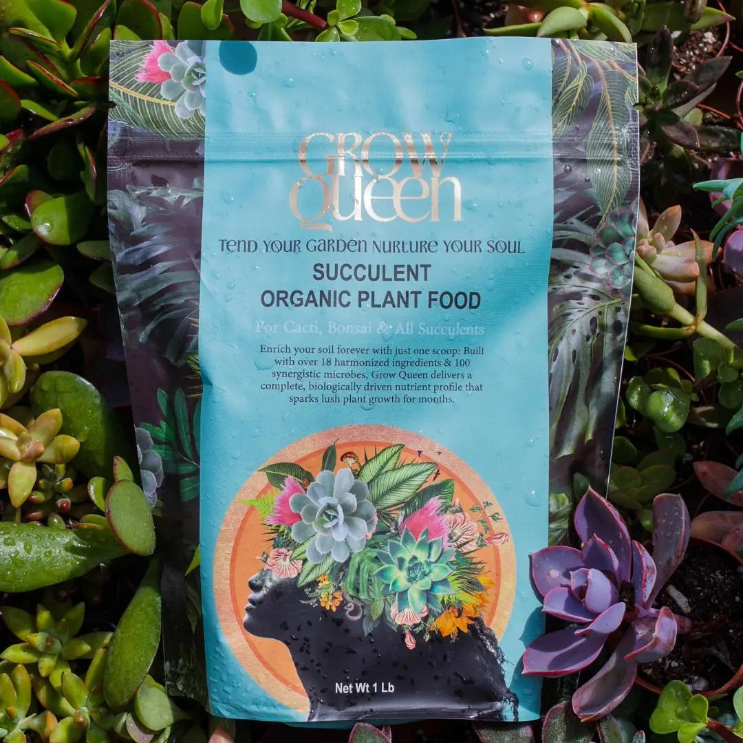 Succulent Organic Plant Food Grow Queen