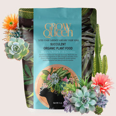 Succulent Organic Plant Food Grow Queen