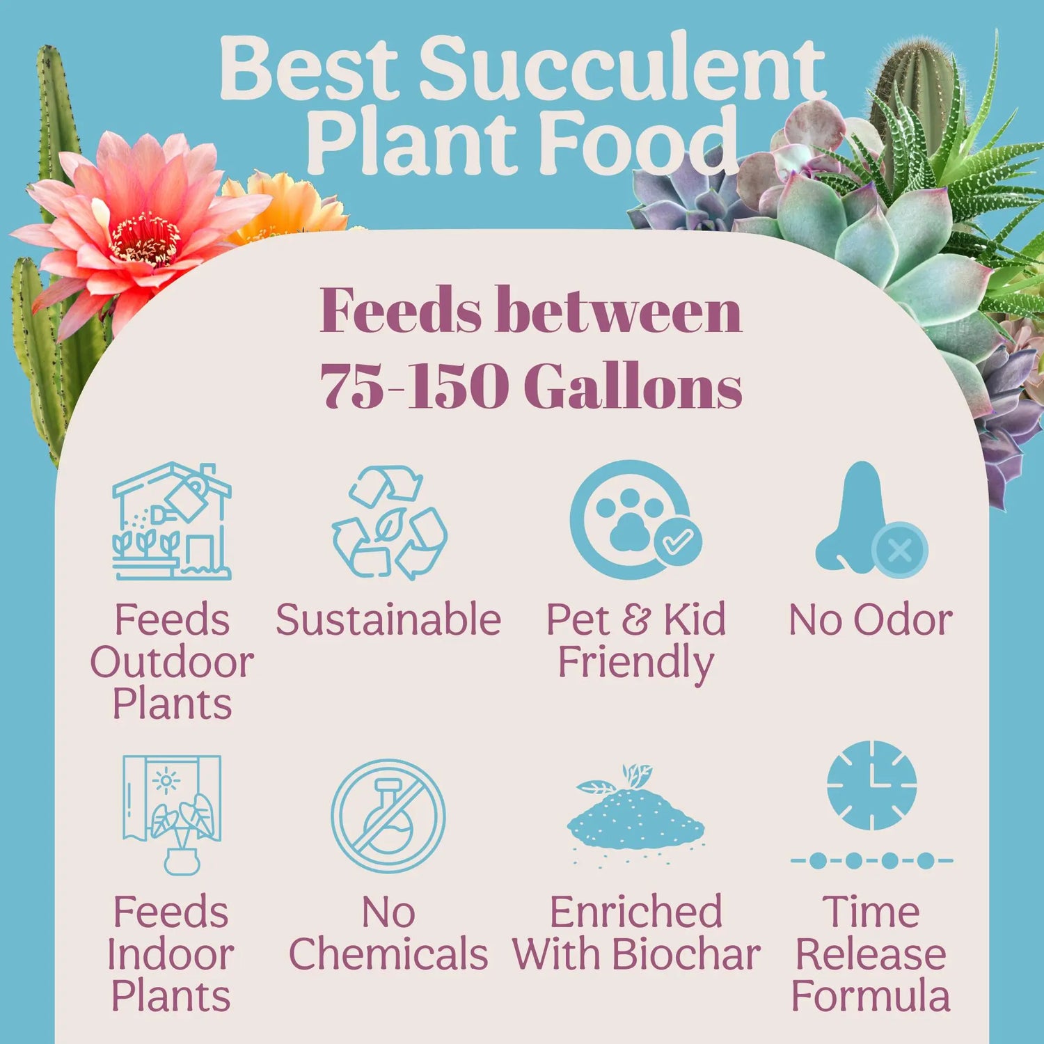 Succulent Organic Plant Food Grow Queen