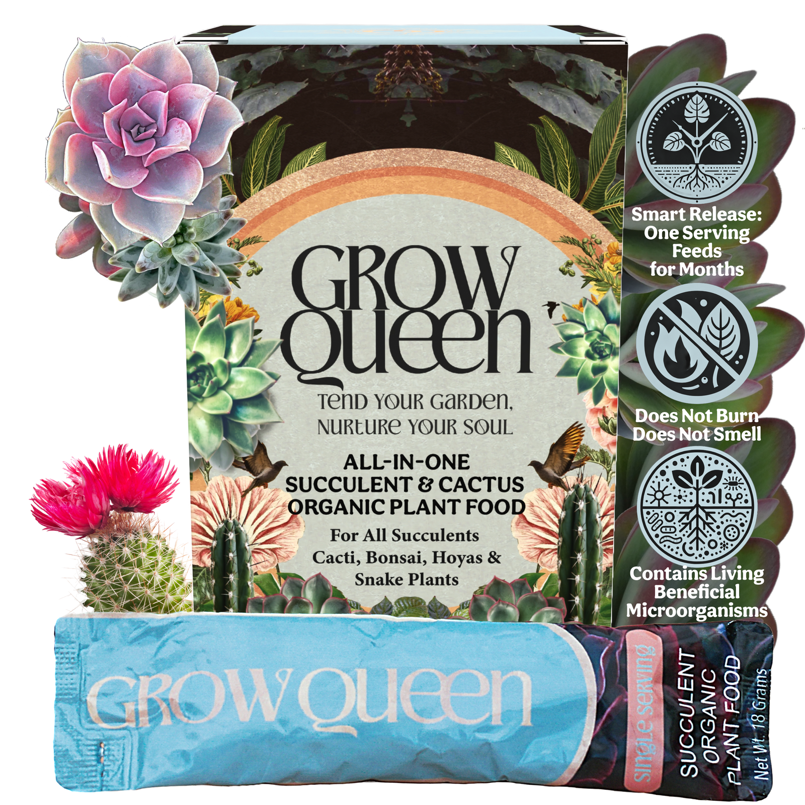 Organic Succulent & Cactus Plant Food