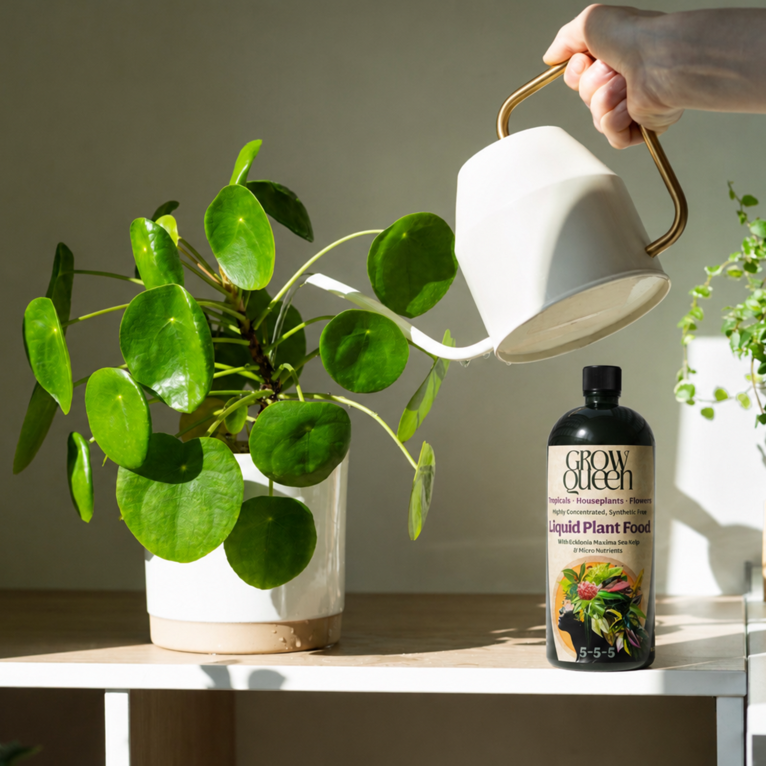 Organic 5-5-5 Liquid Plant Food