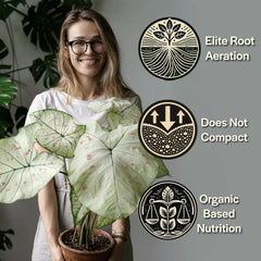 Craft Aroid Mix - Elite Root Aeration, Does Not Compact, Organic Based Nutrition