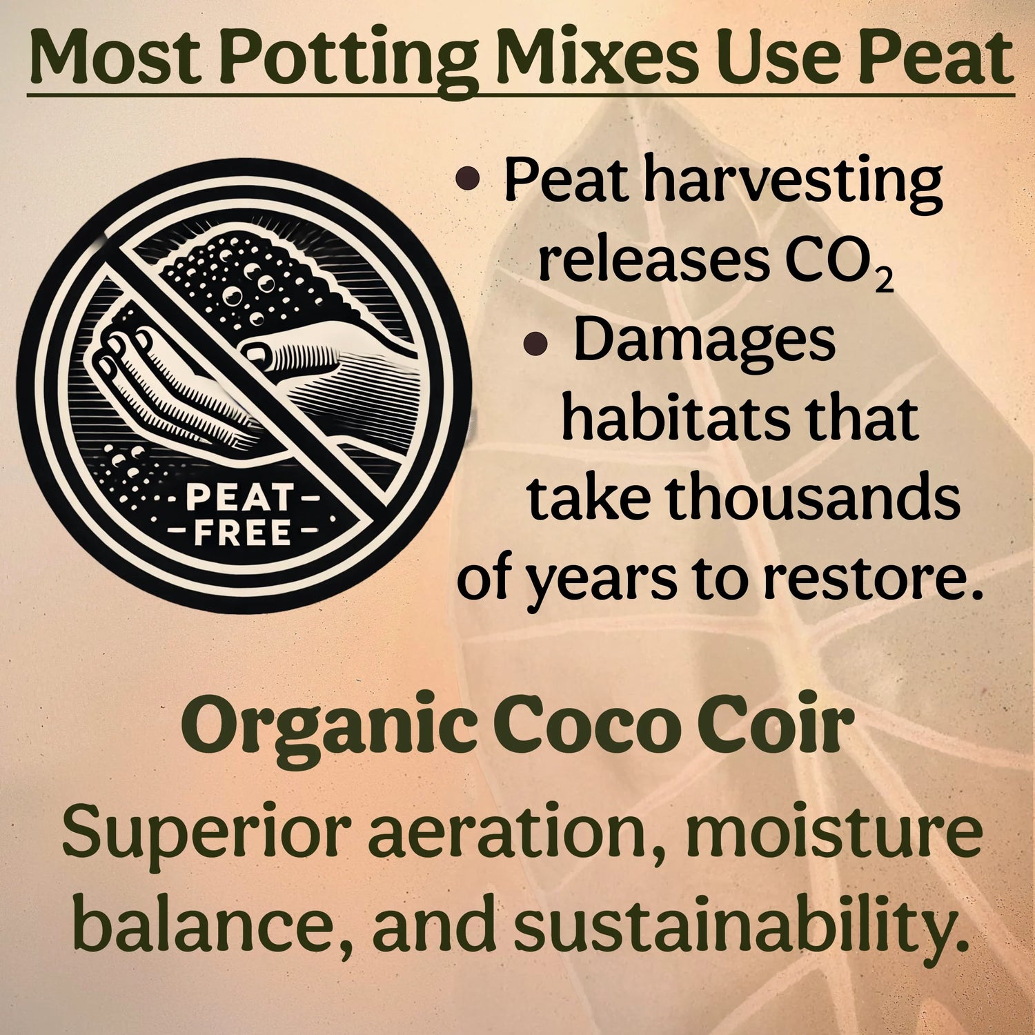 Most Potting Mixes Use Peat - Organic Coco Coir
