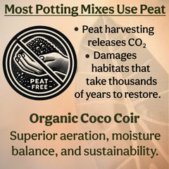 Most Potting Mixes Use Peat - Organic Coco Coir