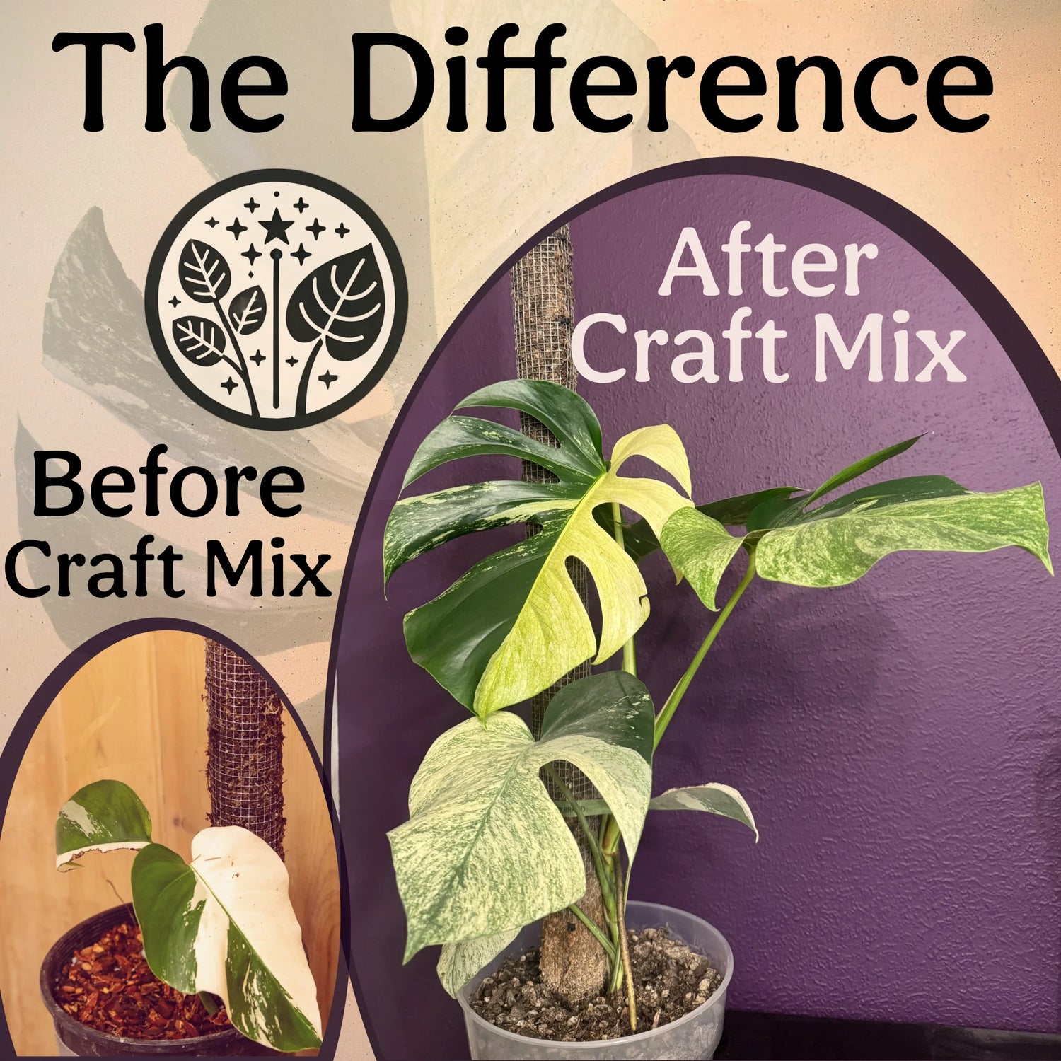 The Difference - Before and After Craft Mix