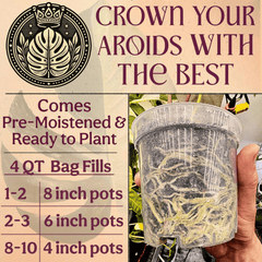 Craft Aroid Potting Mix - Grow Queen