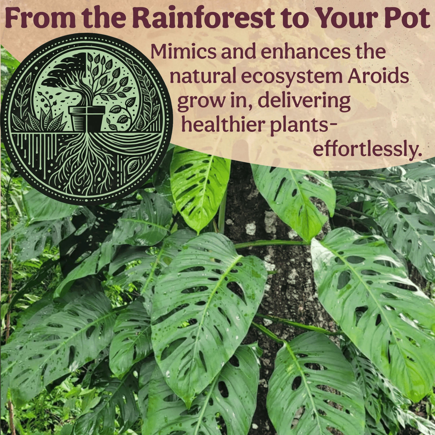 Craft Aroid                     Potting Mix