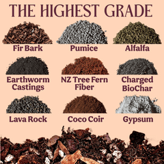 Craft Aroid Potting Mix - Grow Queen