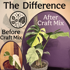 Craft Aroid Potting Mix - Grow Queen