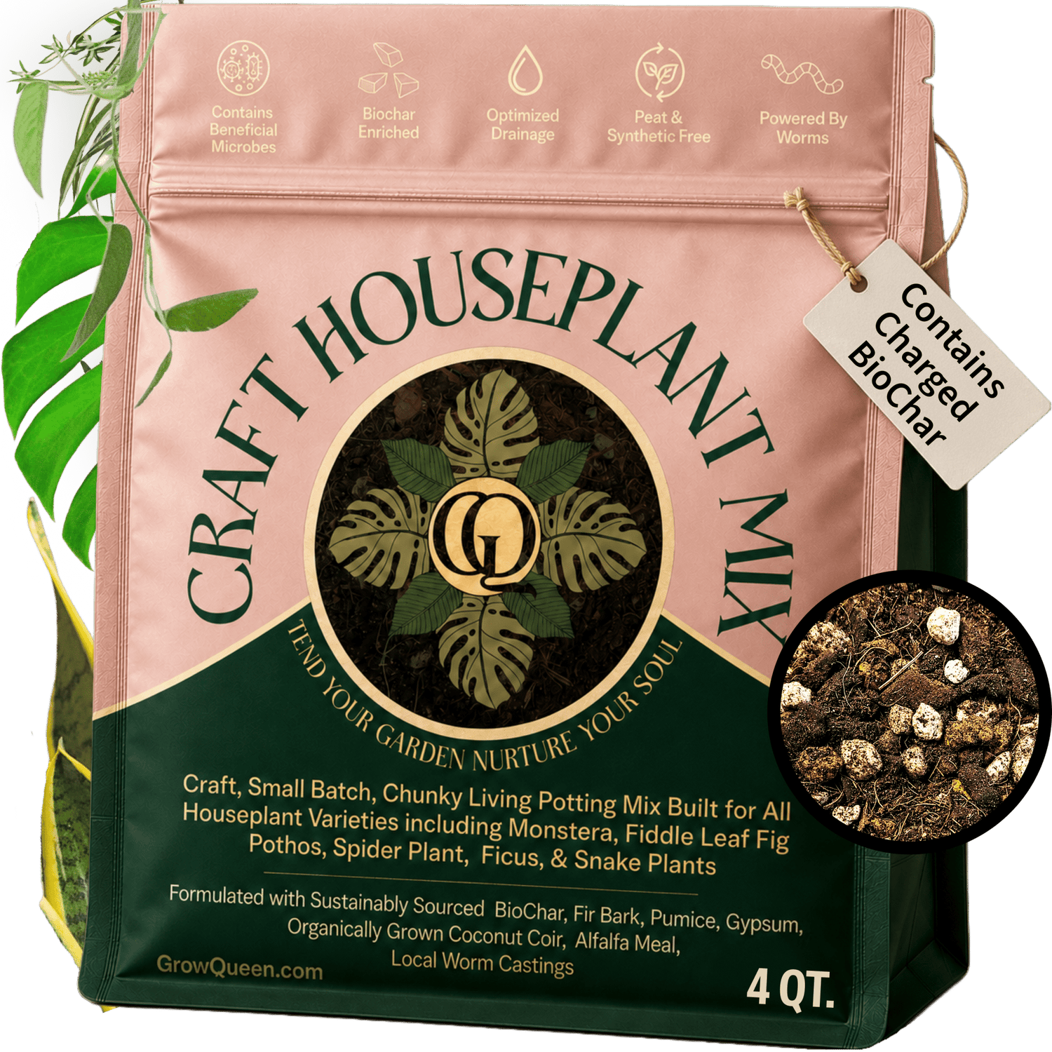 Craft Houseplant Potting Mix - Grow Queen