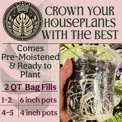 Craft Houseplant Potting Mix - Grow Queen
