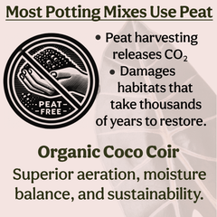 Craft Houseplant Potting Mix - Grow Queen