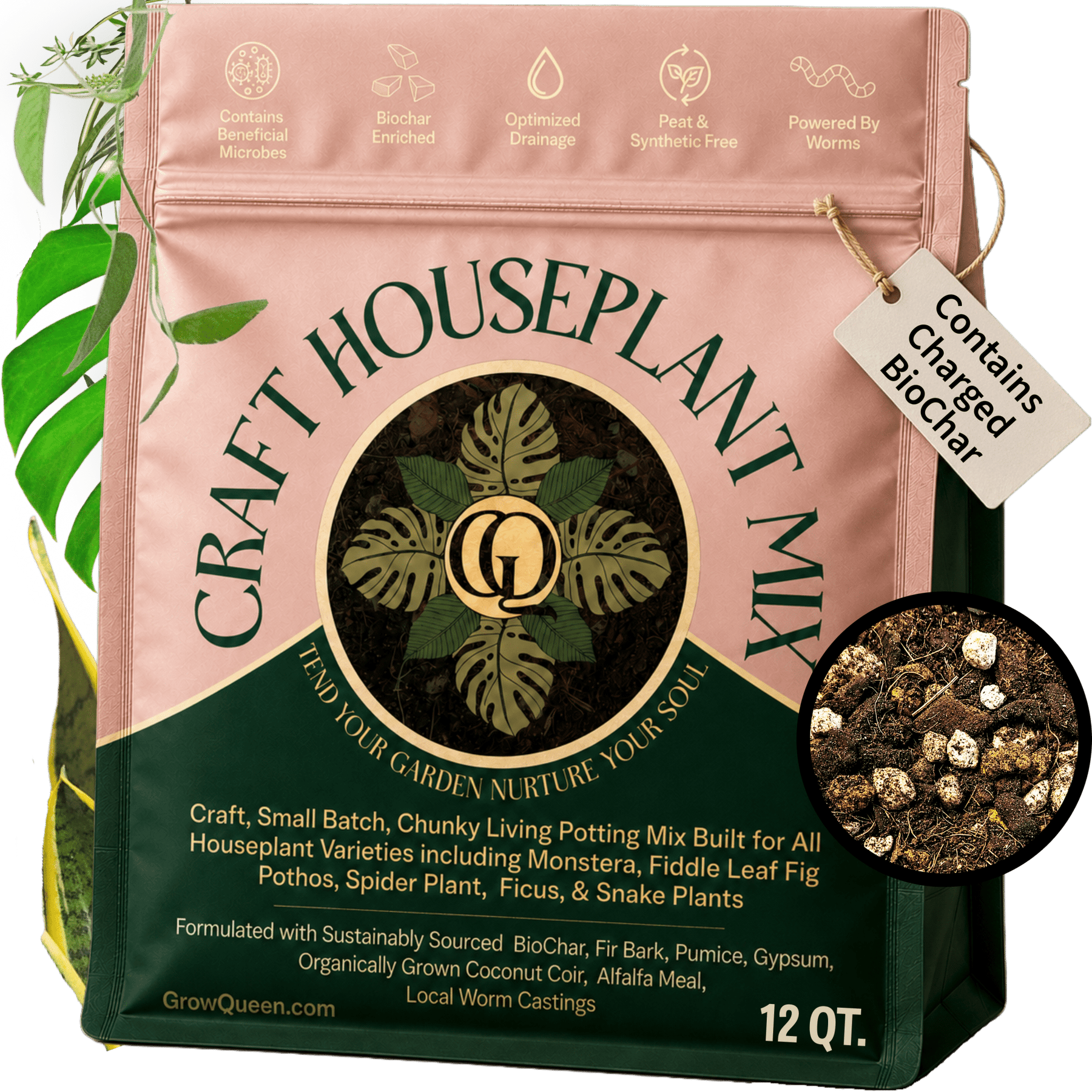 Craft Houseplant Potting Mix - Grow Queen