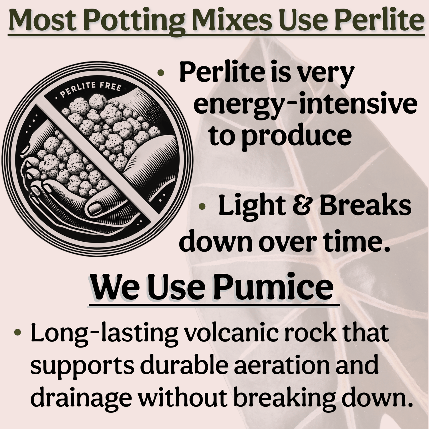 Craft Houseplant Potting Mix - Grow Queen