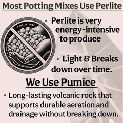 Craft Houseplant Potting Mix - Grow Queen