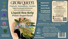 Ecklonia Maxima Kelp Extract Plant Superfood - Grow Queen