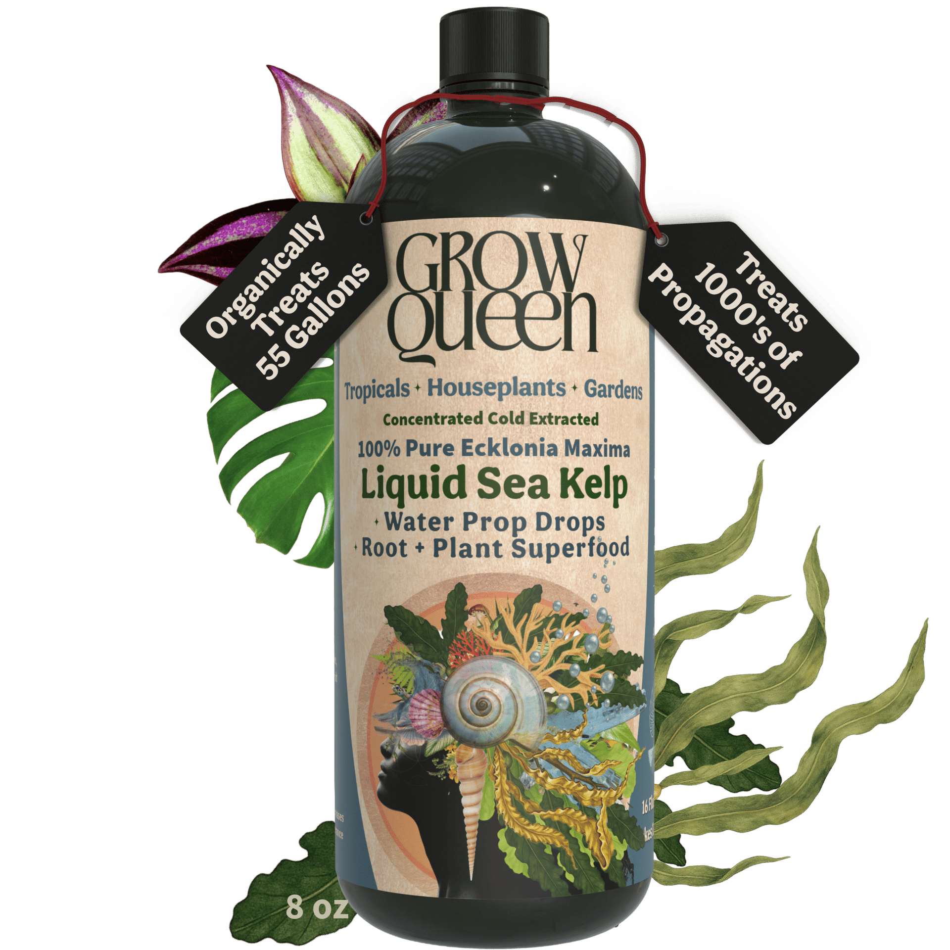 Ecklonia Maxima Kelp Extract Plant Superfood - Boost Growth – Grow