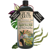 Ecklonia Maxima Kelp Extract Plant Superfood