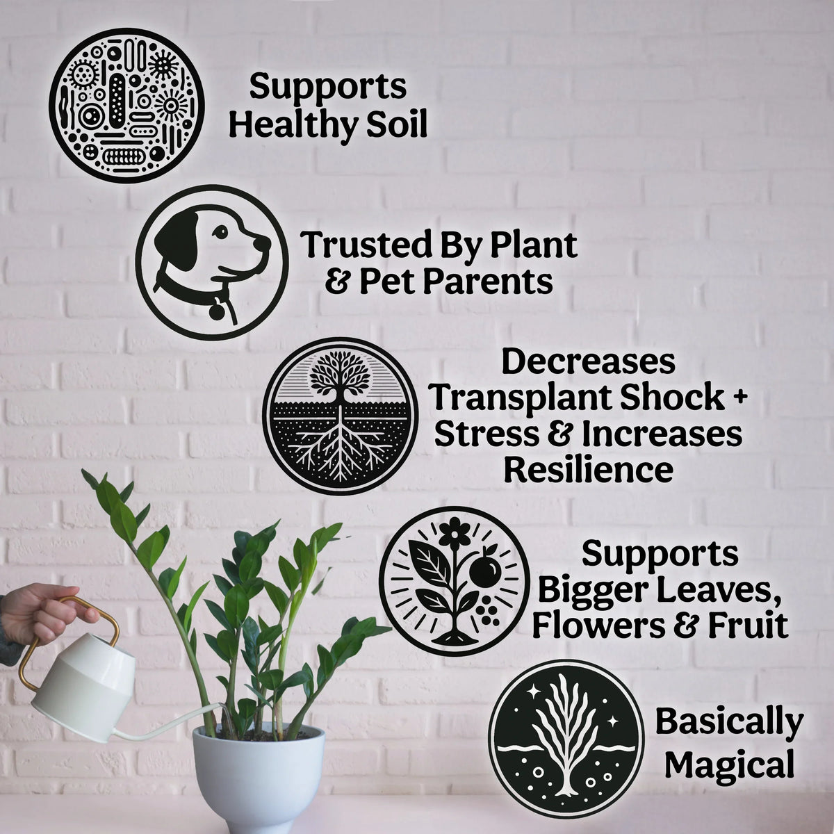 Supports Healthy Soil, Decreases Transplant Shock, Basically Magical