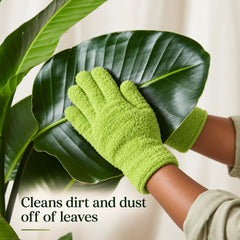 Cleans dirt and dust off of leaves