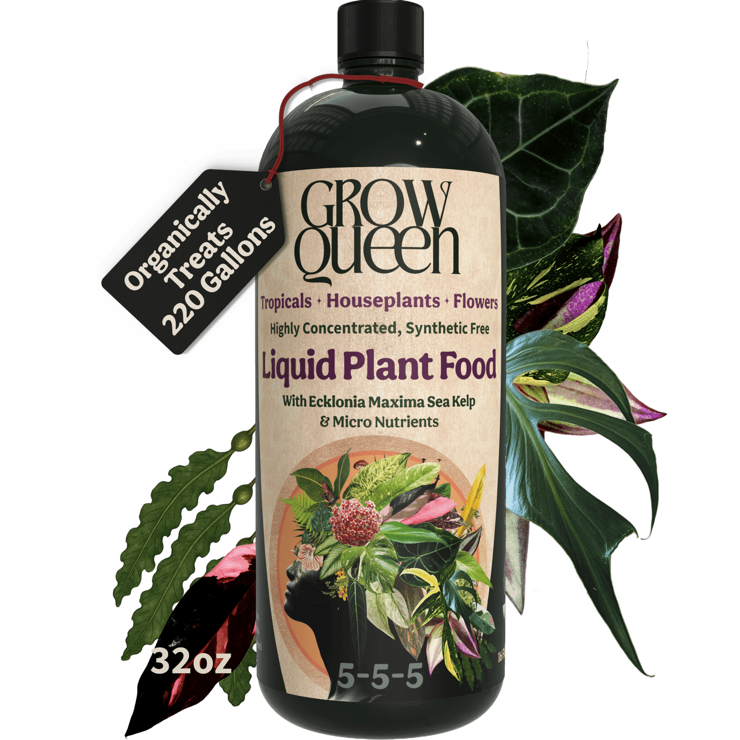 Organic 5-5-5 Liquid Plant Food - Grow Queen