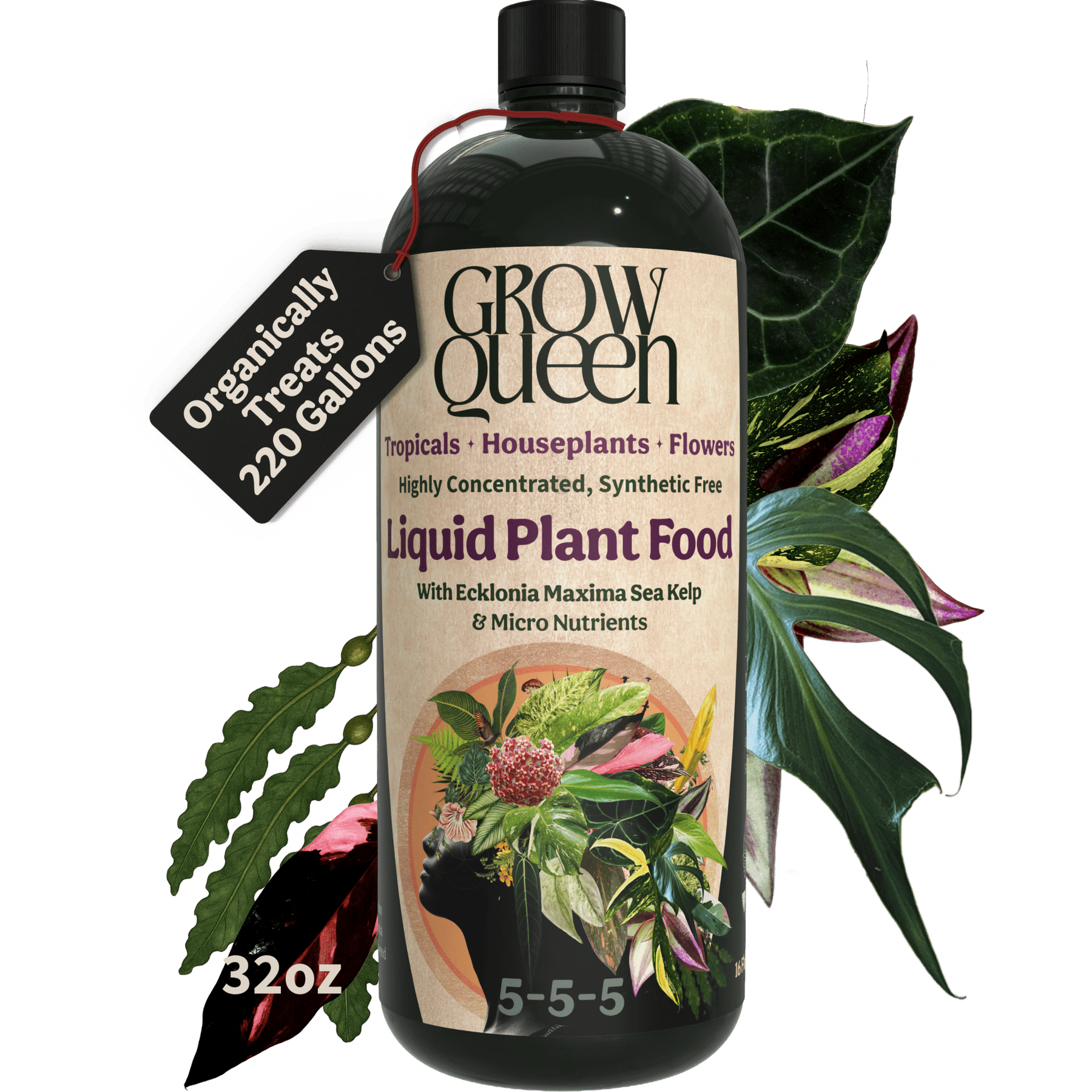 Organic 5-5-5 Liquid Plant Food - Grow Queen