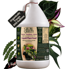Organic 5-5-5 Liquid Plant Food - Grow Queen