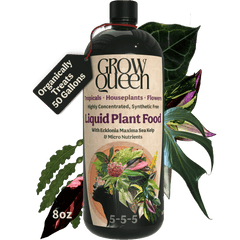 Organic 5-5-5 Liquid Plant Food - Grow Queen