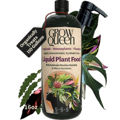 Organic 5-5-5 Liquid Plant Food - Grow Queen
