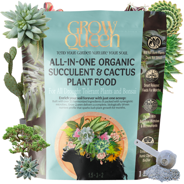 All-In-One Complete Organic Succulent & Cactus Plant Food – Grow Queen