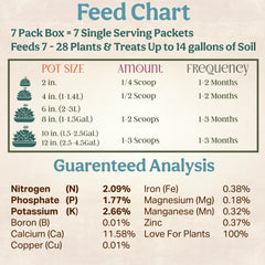 Organic Succulent & Cactus Plant Food - Grow Queen