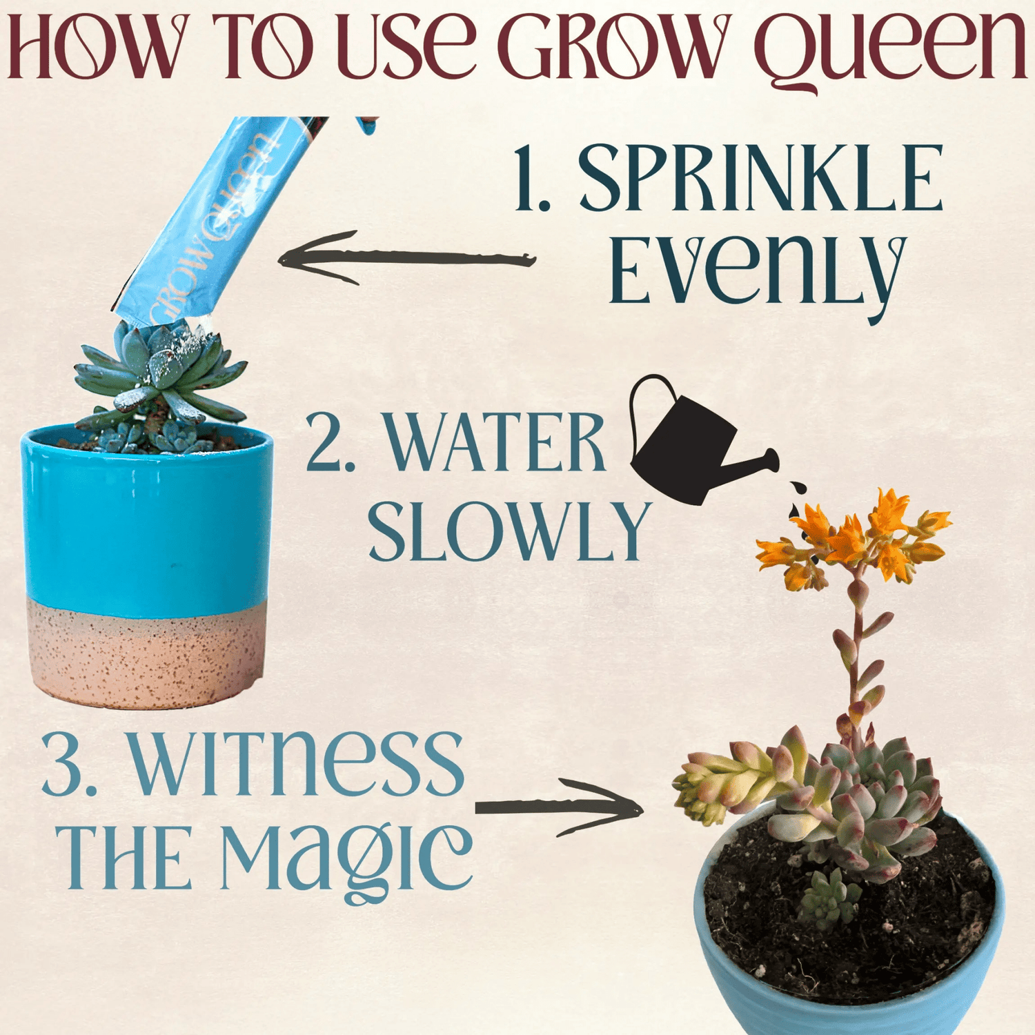 Organic Succulent & Cactus Plant Food