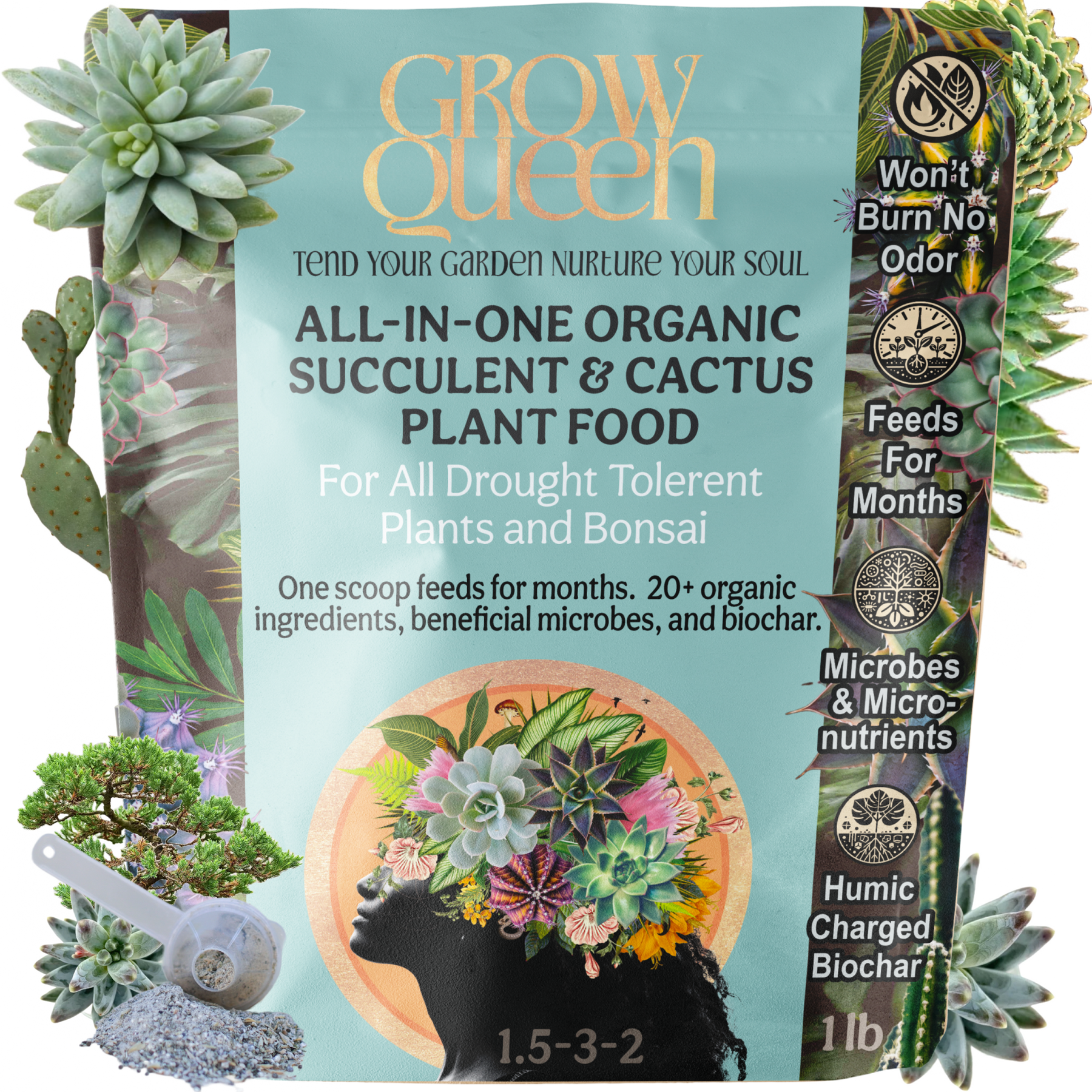 Organic Succulent & Cactus Plant Food - Grow Queen