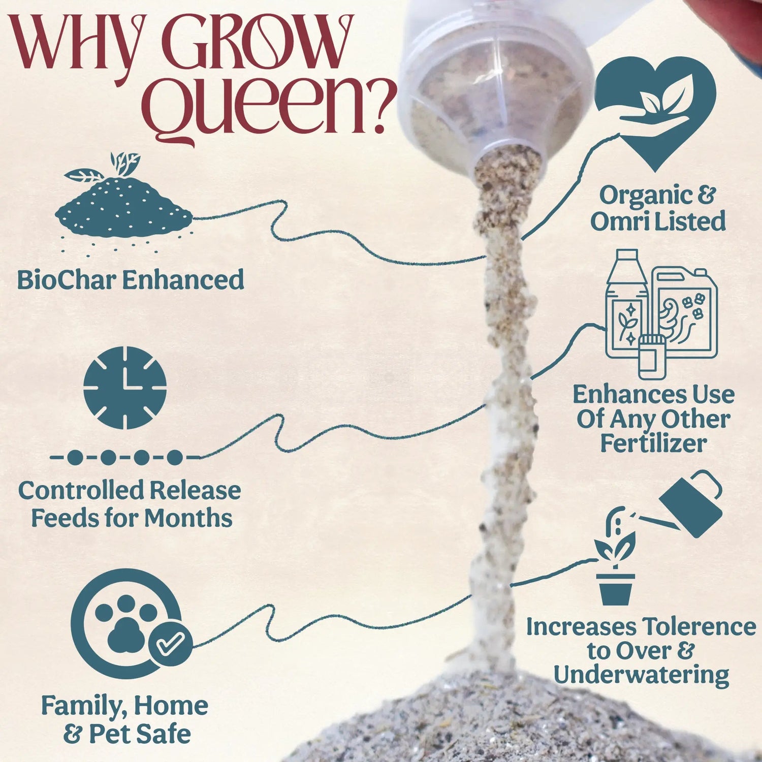 Organic Succulent & Cactus Plant Food - Grow Queen