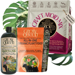Repot and Recovery Kit bundle - potting mix, All-in-One dry feed, and kelp extract